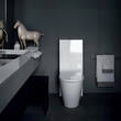 Унітаз підлоговий Laufen Kartell H8233314000001, фото 4