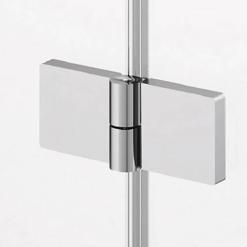 Душевые двери SanSwiss Annea AN13G12005007 120х200 см распашные левые, фото 4