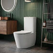 Унітаз-компакт Primera Grand 8390022 із сидінням з дюропласту Soft close, фото 1
