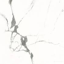 Керамограніт Almera Ceramica Carrara Gxj00160S 60x60 см, фото №2