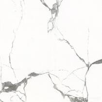 Керамогранит Almera Ceramica Carrara Gxj00160S 60x60 см, фото №5