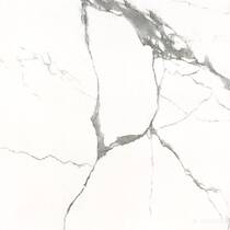 Керамограніт Almera Ceramica Carrara Gxj00160S 60x60 см, фото №6