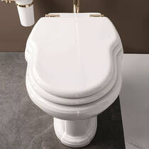 Напольный унитаз Gaia Pompei PHPM01F, фото №1