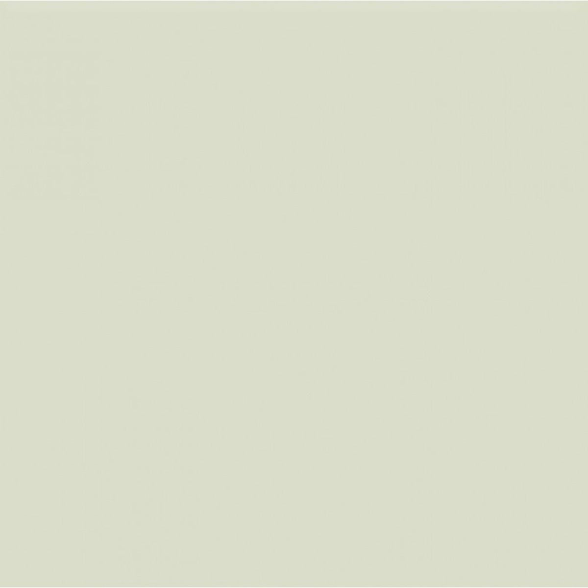 BEIGE POL PA6600 (1 сорт)