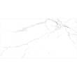 Керамограніт Almera Ceramica-2 Carrara Matt Qp8320Bmb 60x120 см, фото 3