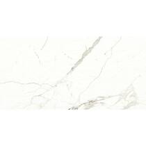 Керамограніт Almera Ceramica-2 Carrara Matt Qp8320Bmb 60x120 см, фото №1