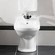 Біде підлогове Villeroy&Boch Hommage 744200R1 з покриттям CeramicPlus, фото 4