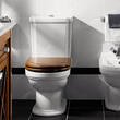 Бачок для унітаза Villeroy&Boch Hommage 772111R1, фото 5