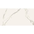 Керамогранит Almera Ceramica Carrara GQW8321M Mat 60x120 см, фото 1