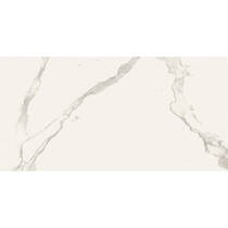 Керамогранит Almera Ceramica Carrara GQW8321M Mat 60x120 см, фото №1