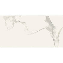 Керамограніт Almera Ceramica Carrara Gqw8321M Mat 60x120 см, фото №7