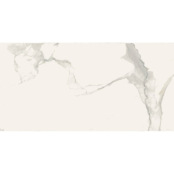 Керамограніт Almera Ceramica Carrara Gqw8321M Mat 60x120 см, фото 7