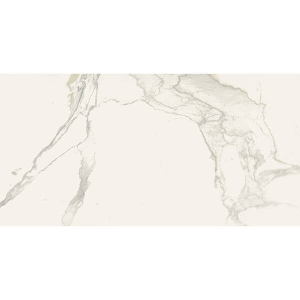 Керамограніт Almera Ceramica Carrara Gqw8321M Mat 60x120 см, фото 3
