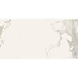 Керамограніт Almera Ceramica Carrara Gqw8321M Mat 60x120 см, фото 4