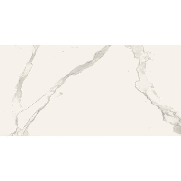 Керамограніт Almera Ceramica Carrara Gqw8321M Mat 60x120 см, фото 2
