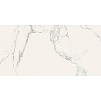 Керамограніт Almera Ceramica Carrara Gqw8320P Light 60x120 см, фото №6