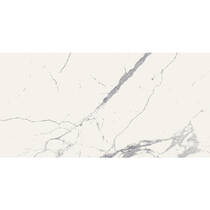 Керамограніт Almera Ceramica Carrara Gqw8320P Light 60x120 см, фото №2