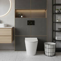 Унитаз напольный Primera Topic 8590020 с сиденьем Soft Close, фото №1