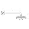 Верхній душ Hansgrohe Raindance Classic 27424000, фото 2