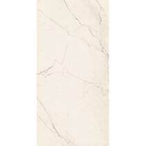 Керамограніт La Faenza TREX6 260W Rm 120x260 см, фото №1