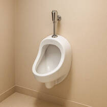 Пісуар підвісний Cersanit President P101, фото №1