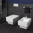 Унітаз підвісний Villeroy&Boch Memento 562810R1, фото 2