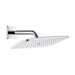 Верхній душ Hansgrohe Raindance E 27371000, фото 1