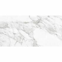 Керамограніт Argenta Ceramica Carrara White Shine 30x60 см, фото №1
