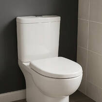 Бачок для унітаза RAK Ceramics TQ10AWHA, фото №1