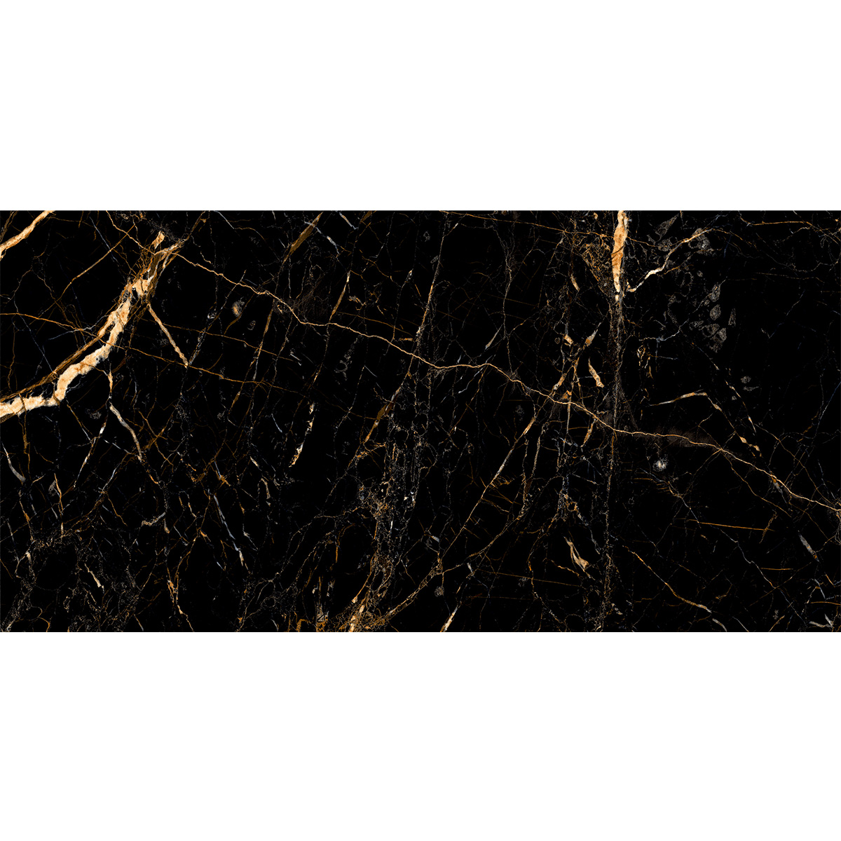 GOLDEN BLACK (1 сорт)