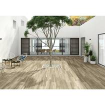 Керамогранит Almera Ceramica Irati Roble 23x120 см, фото №2