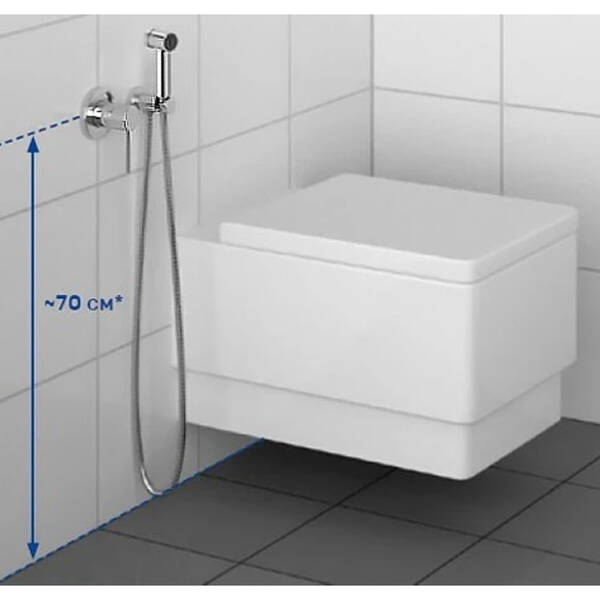 Гігієнічний душ Kludi Bozz 389980576 зі змішувачем - купити в магазинах ...