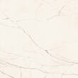 Керамограніт Imola The Room STA VP6 120 RM 120x120 см, фото 1