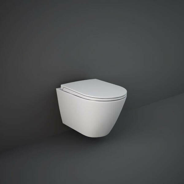 Крышка для унитаза RAK Ceramics Feeling Sanitaryware RSTSC3901500 Soft Close, Quick Release, фото 2