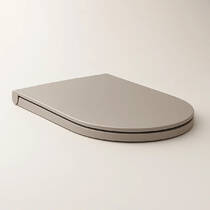 Кришка для унітаза RAK Ceramics Feeling Sanitaryware RSTSC3901514 Soft Close, Quick Release, фото №1