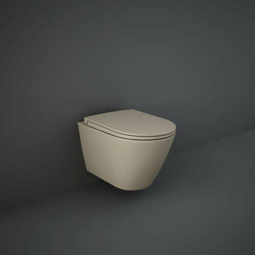 Крышка для унитаза RAK Ceramics Feeling Sanitaryware RSTSC3901514 Soft Close, Quick Release, фото 2