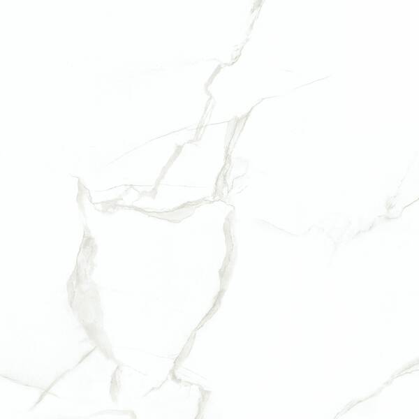 Керамогранит Megagres Carrara CB6Y025PA 60x60 см, фото 1