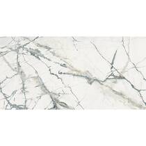 Керамограніт Imola The Room Inv Wh6 12 Lp 60x120 см, фото №1