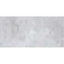 Керамограніт Cersanit Henley Light Grey 29,8x59,8 см, фото №1