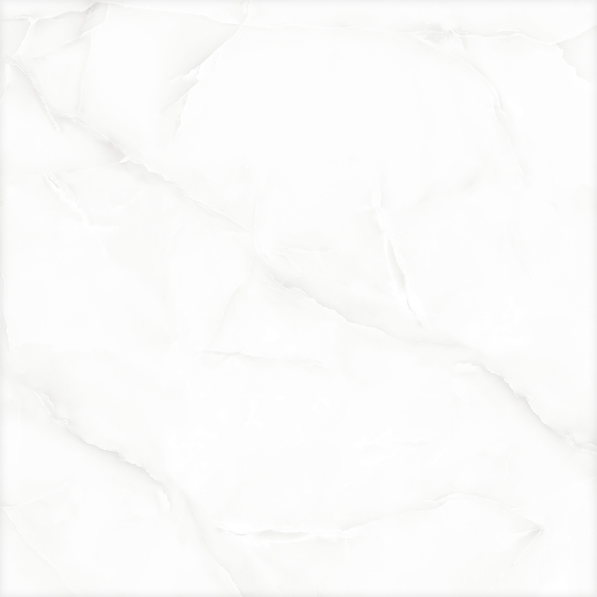 GLORIOUS WHITE (1 сорт)