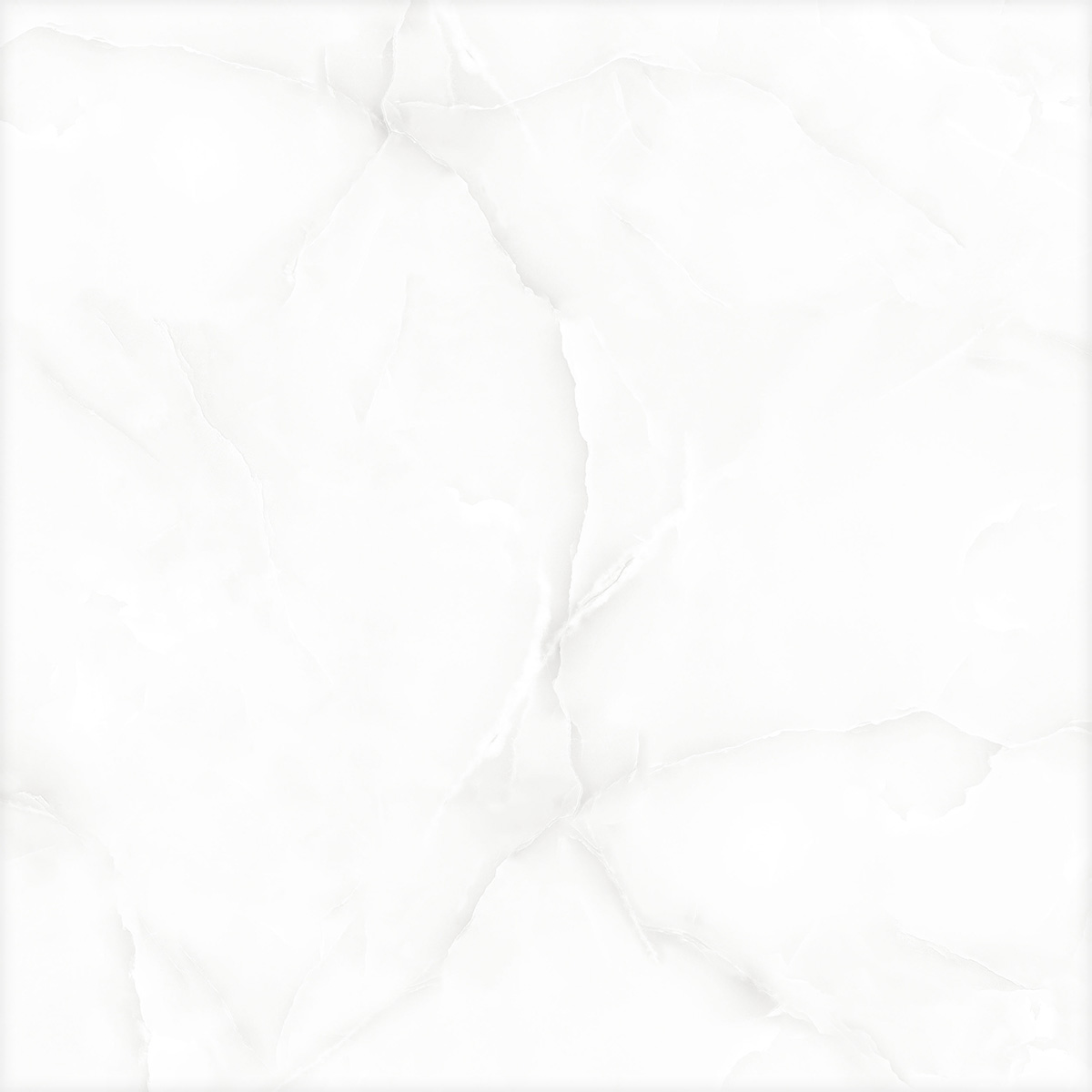 GLORIOUS WHITE (1 сорт)