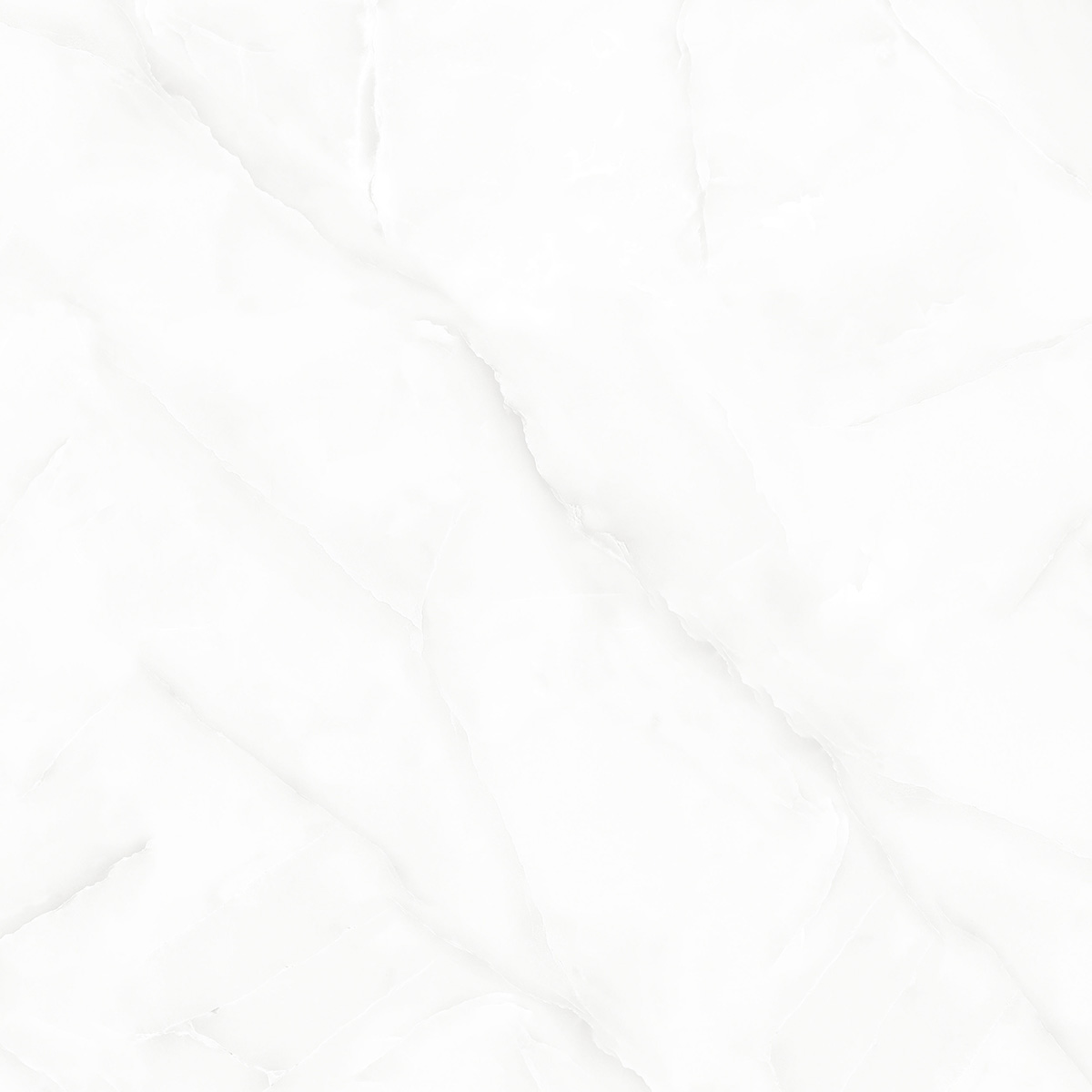 GLORIOUS WHITE (1 сорт)