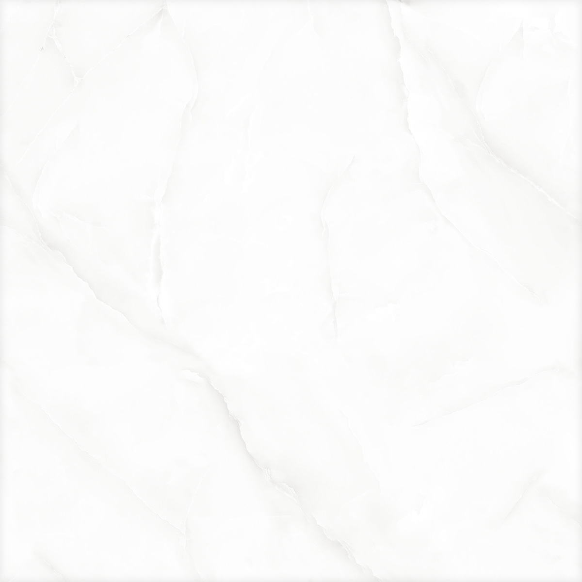 GLORIOUS WHITE (1 сорт)