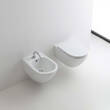 Крышка для унитаза Kerasan Aquatech 3791 01 slim, soft-close, quick release, фото 2