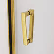 Душевые двери с фиксированной стенкой SanSwiss Cadura GoldLine CA13D1201207 120х200 см распашные правые, фото 4