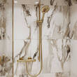 Ручний душ Hansgrohe Raindance Select S 120 3jet 26530990 золото полірований, фото 3