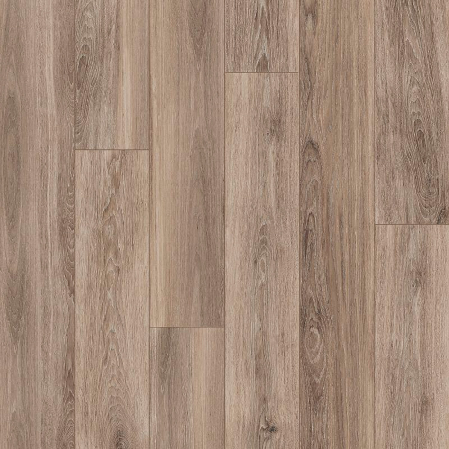 0005051 ECO CHIC AVANA RET (1 сорт)