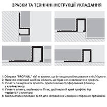Профіль Progress Profile Profinal PRFAA 10 срібло 2700х10х8 мм, фото №3