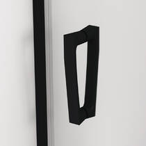 Душові двері з фіксованою стінкою SanSwiss Cadura BlackLine CAS2G1200607 120х200 см розсувні ліві, фото №4