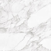 Керамогранит Argenta Carrara White Shine 60x60 см, фото №1